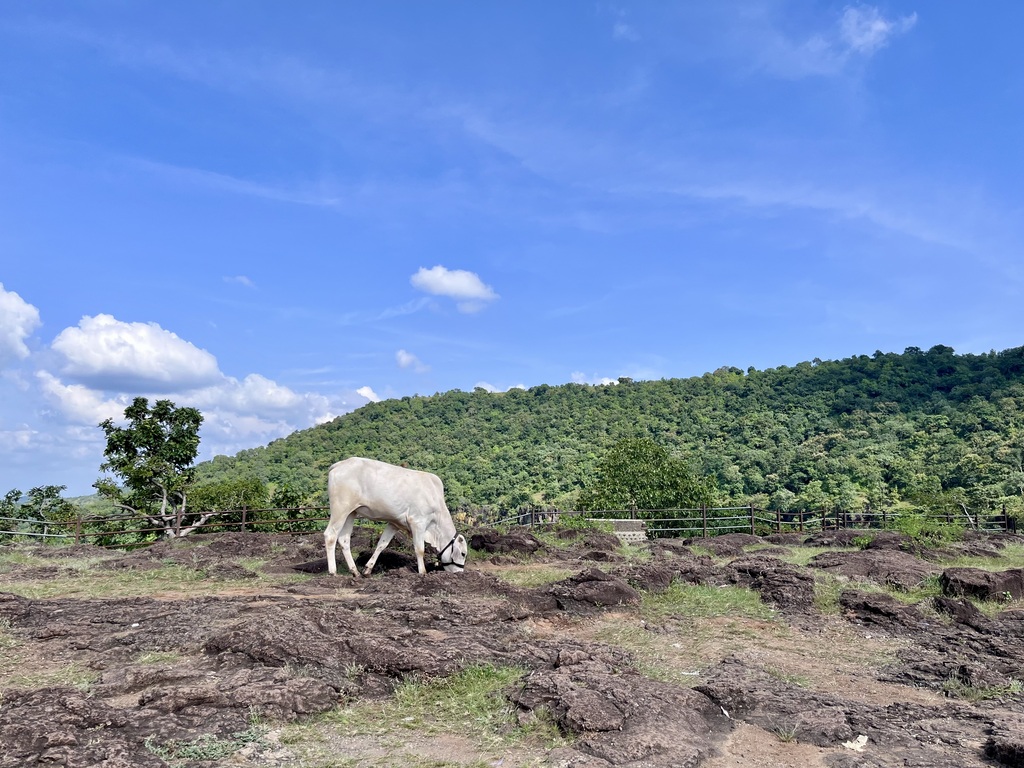 travel diary