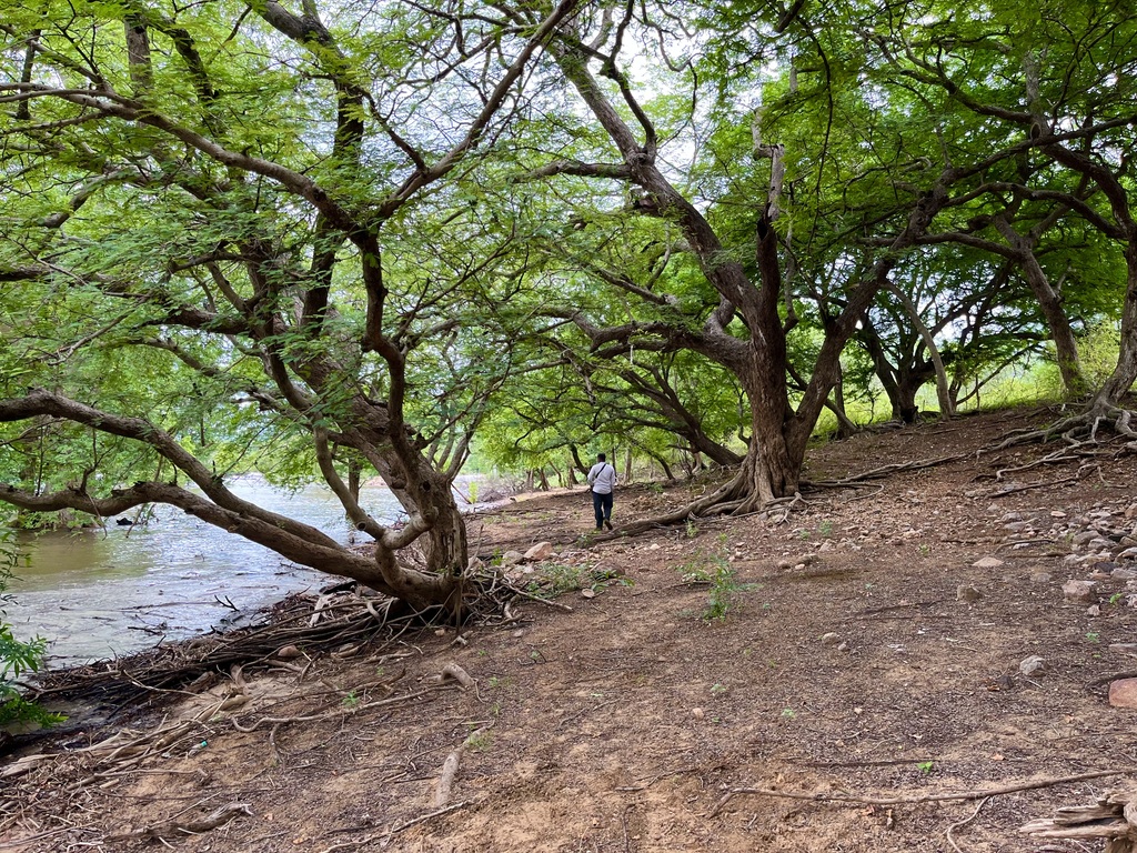 travel diary