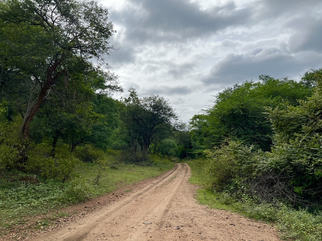travel diary