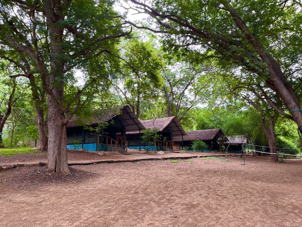 travel diary