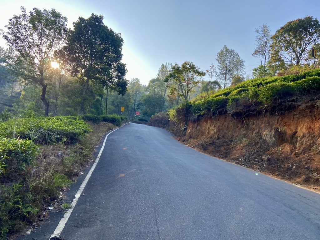 travel diary