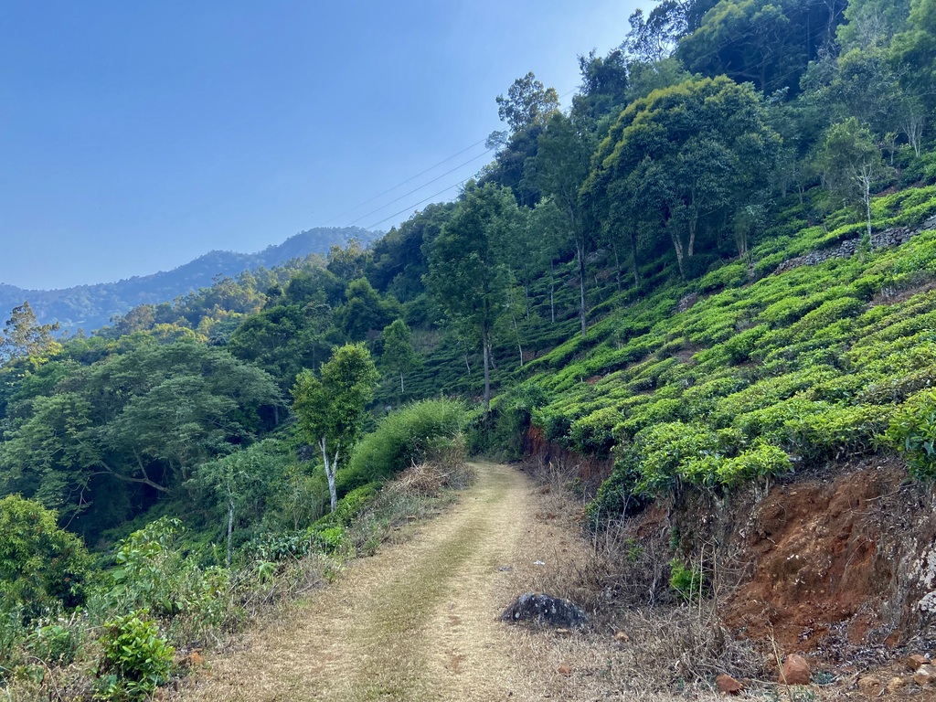 travel diary