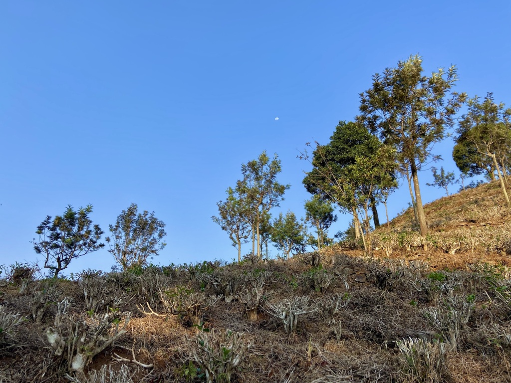 travel diary