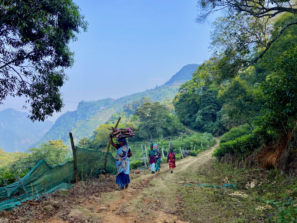 travel diary