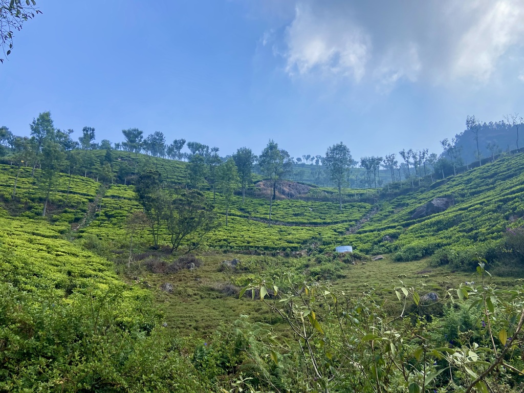 travel diary