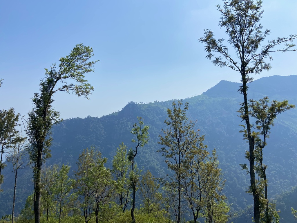 travel diary