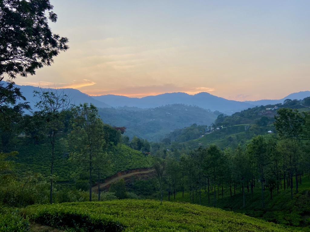 travel diary