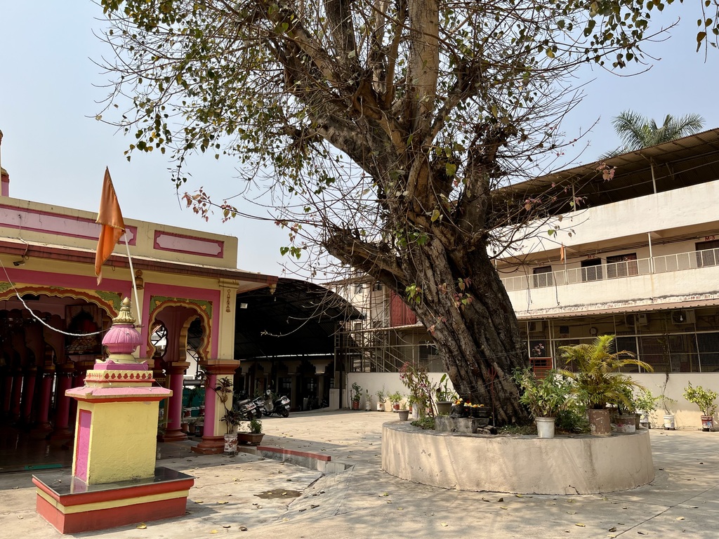 travel diary