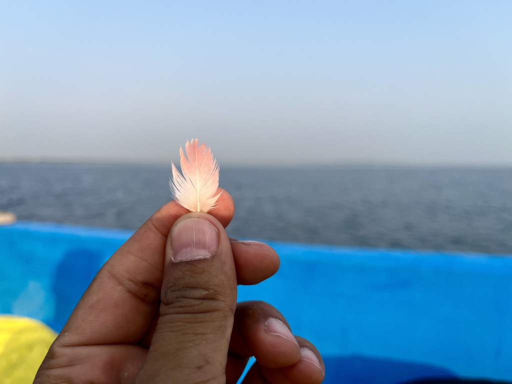 travel diary