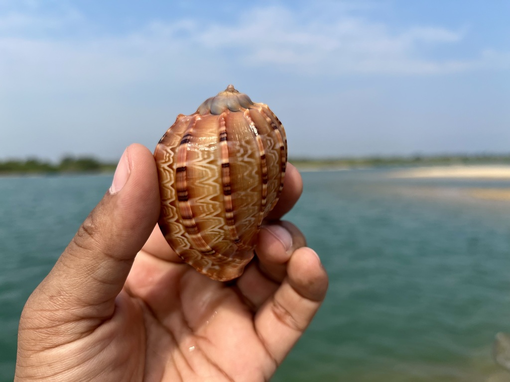 travel diary