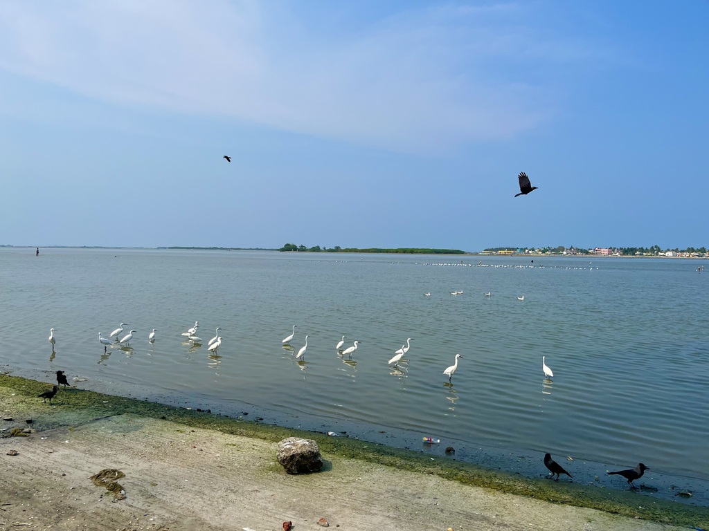 travel diary
