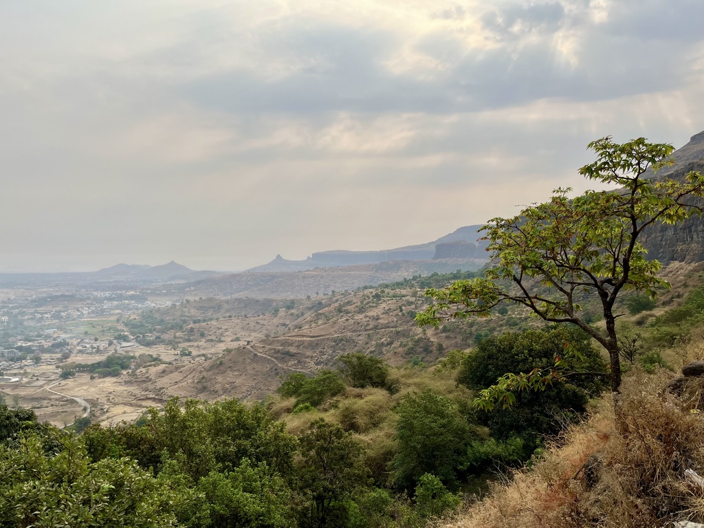 travel diary