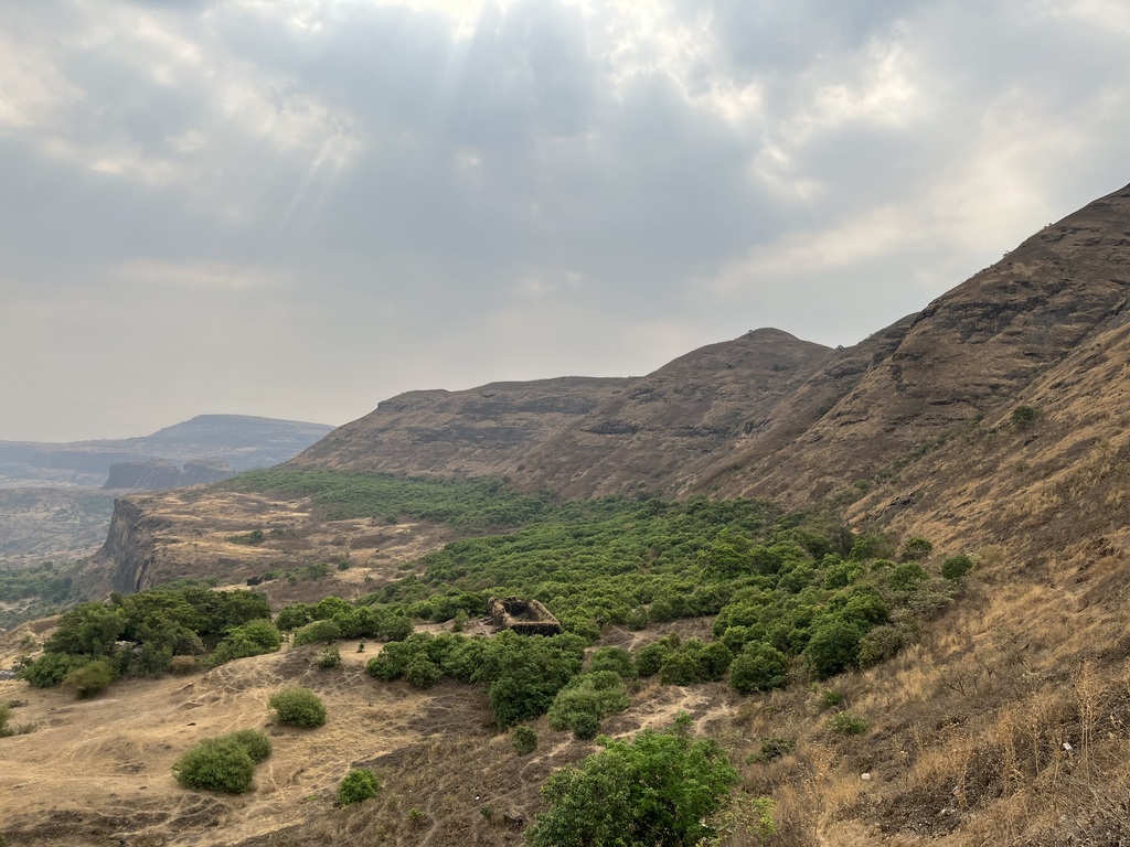 travel diary